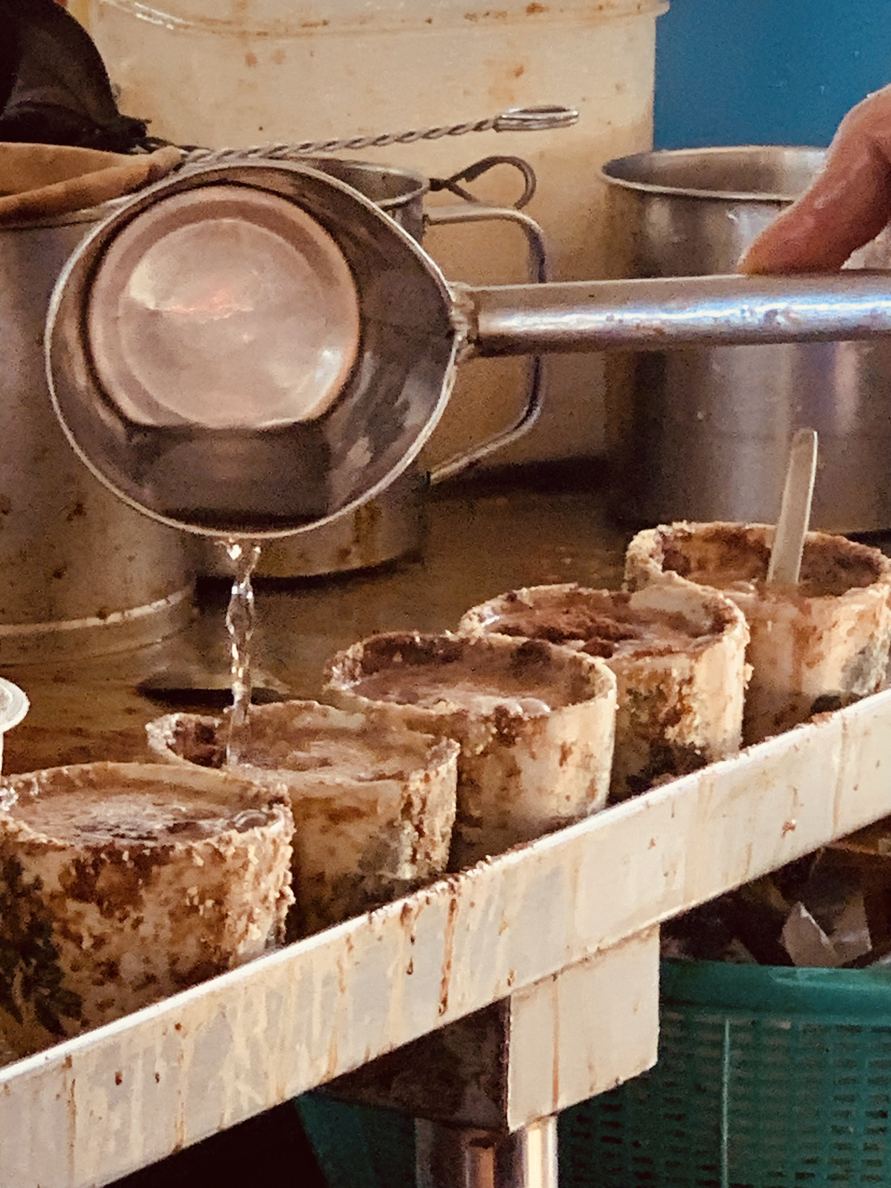Trip 1 - Street Food Tours